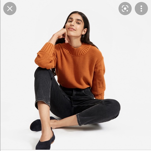 Everlane Texture Cotton Cable Sweater (Cider) - Picture 1 of 4